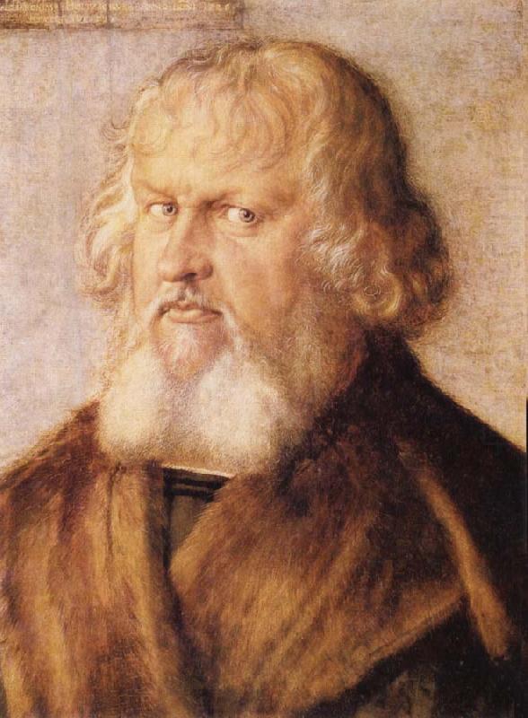 Portrait of Hieronymus Holzschuher, Albrecht Durer